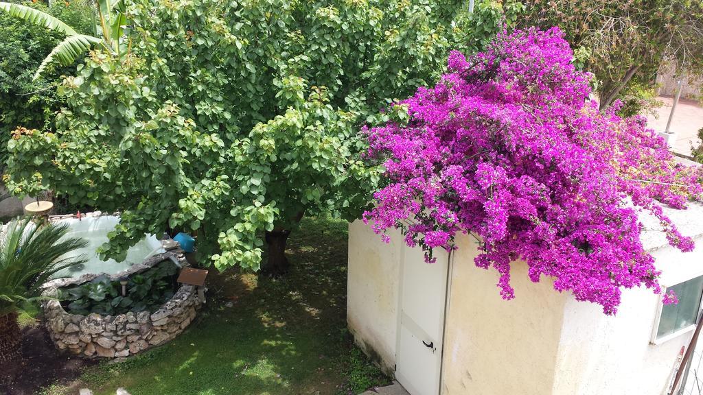 Vento Dell'Est Bed & Breakfast San Cataldo  Ngoại thất bức ảnh
